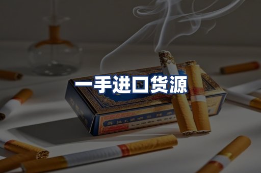 一手进口货源